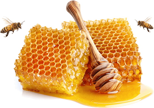buy raw honey online